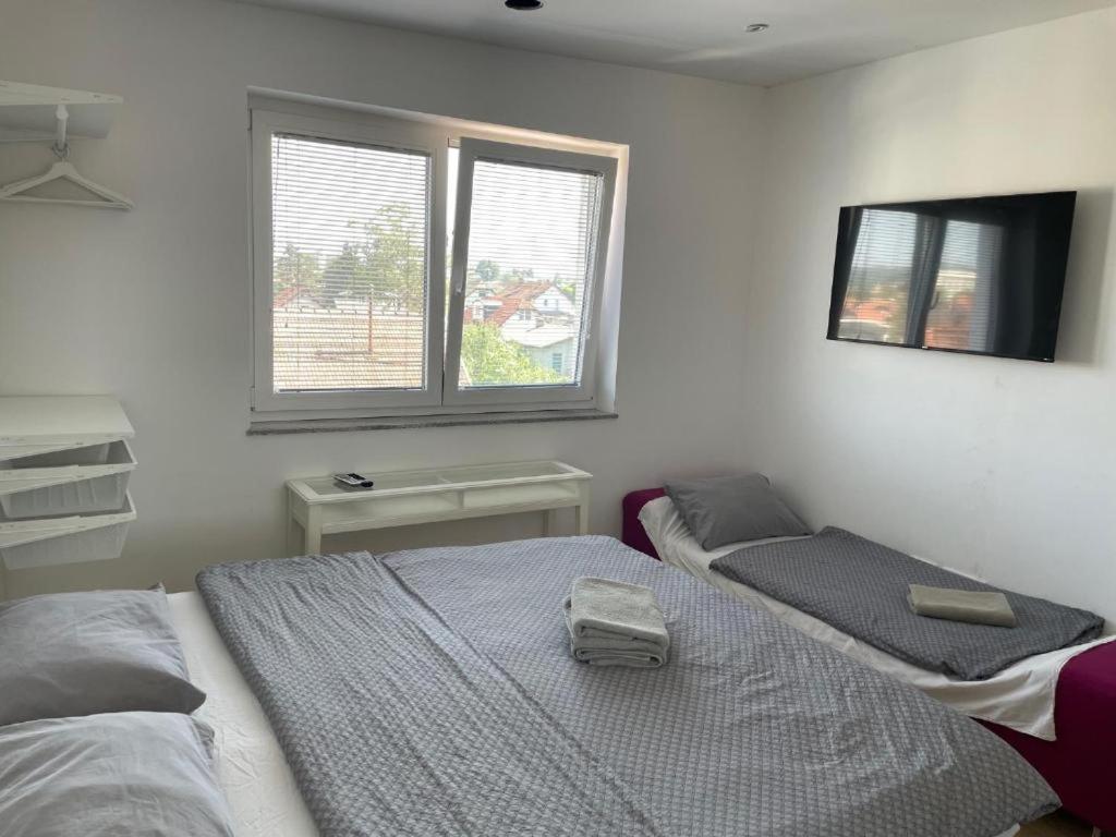 R41 - Tivoli Groundfloor Apartment ลูบลิยานา ภายนอก รูปภาพ